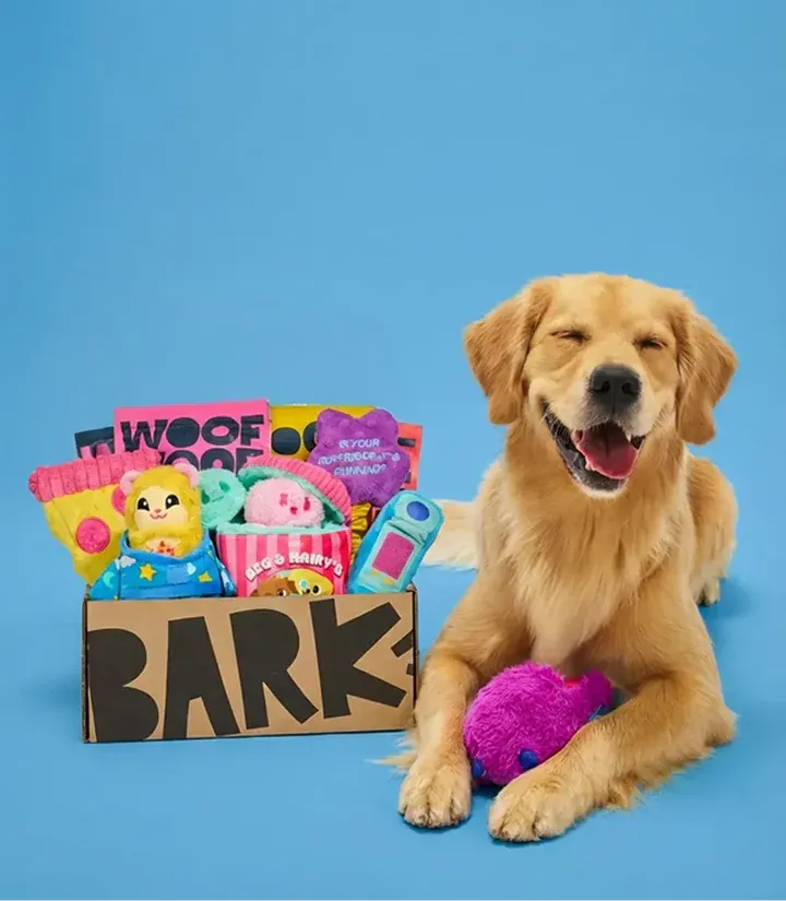 BarkBox Will Fall In Love With Every Dog (And Dog Parent) Why. 1 imgi 3 0126 Fext homepage tile