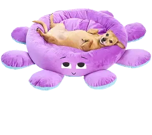 BarkBox Will Fall In Love With Every Dog (And Dog Parent) Why. 2 imgi 52 ollie bed tile